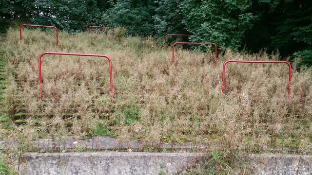 New Cathkin Park, Glasgow.