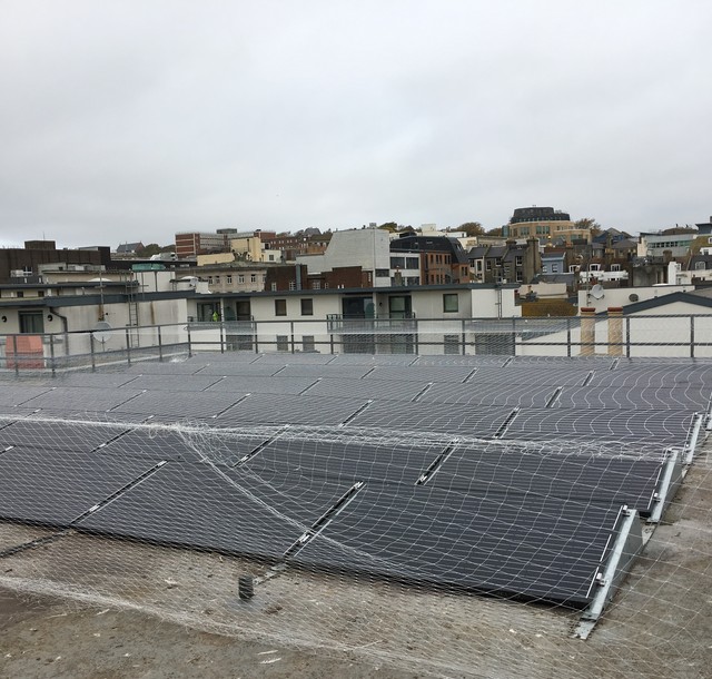 Anti-Seagull Netting for Rooftop Solar Array